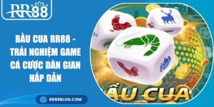 Bầu Cua RR88 - Trải Nghiệm Game Cá Cược Dân Gian Hấp Dẫn